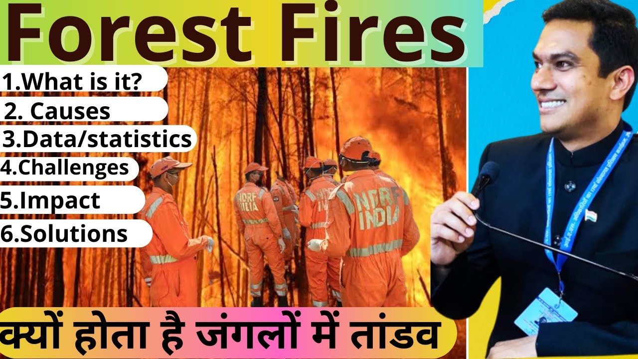 Forest Fires - क्यों होता है जंगलों में तांडव?