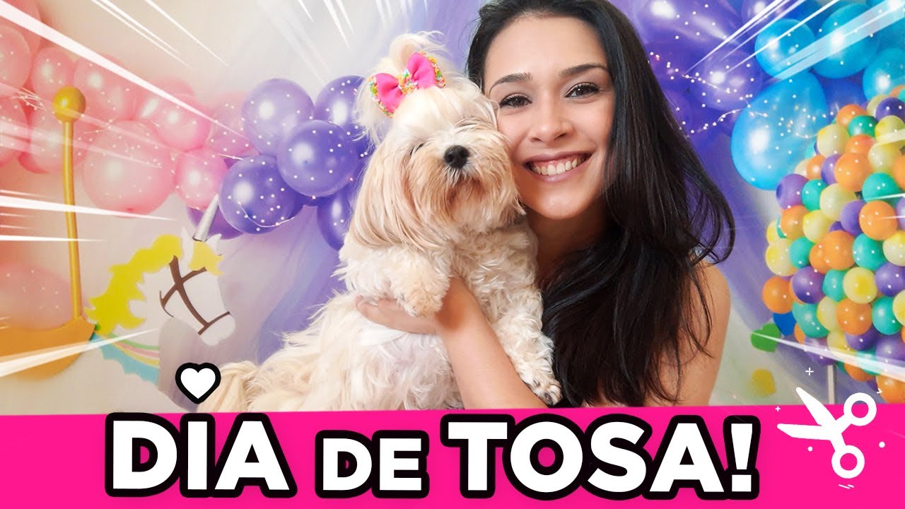 VLOG: LEVEI a COCADA para TOSAR! #Shihtzu
