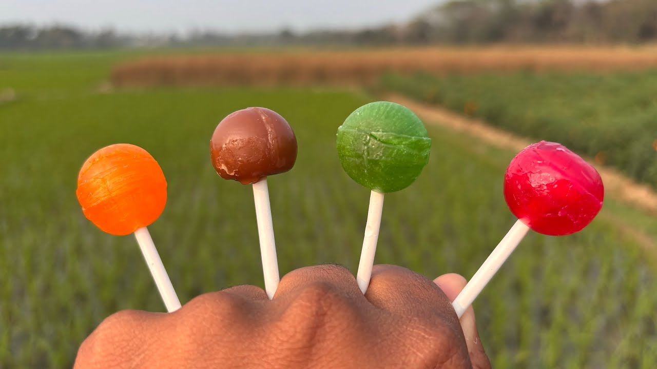 Lollipop Treat Fun Shot! 🍭📸