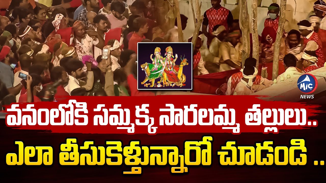 Medaram EXCLUSIVE: చిలకలగుట్టకు సమ్మక్క సారలమ్మ తల్లులు.. Sammakka Saralamma Chilakalagutta | Mic TV