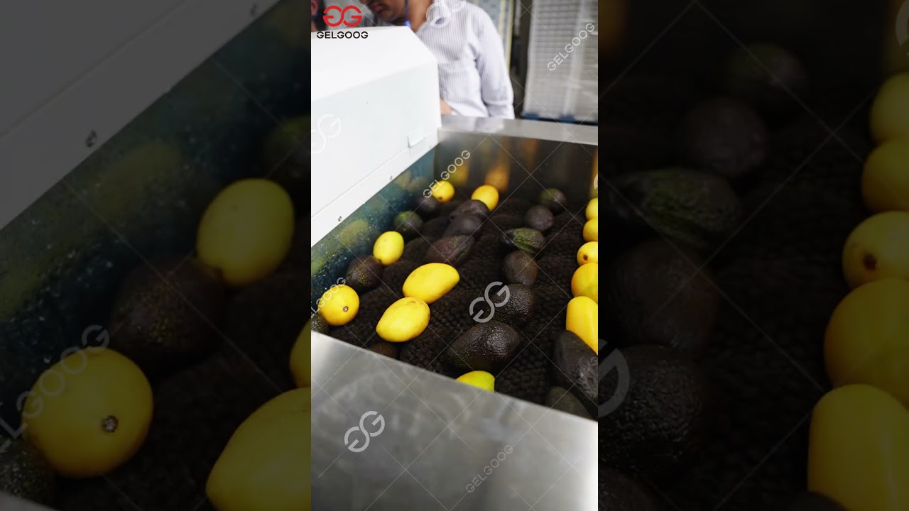 GELGOOG Mango Washing, Waxing, and Grading Production Line