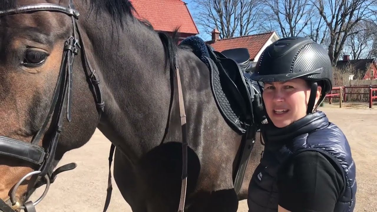 Lär dig sitta upp på hästen