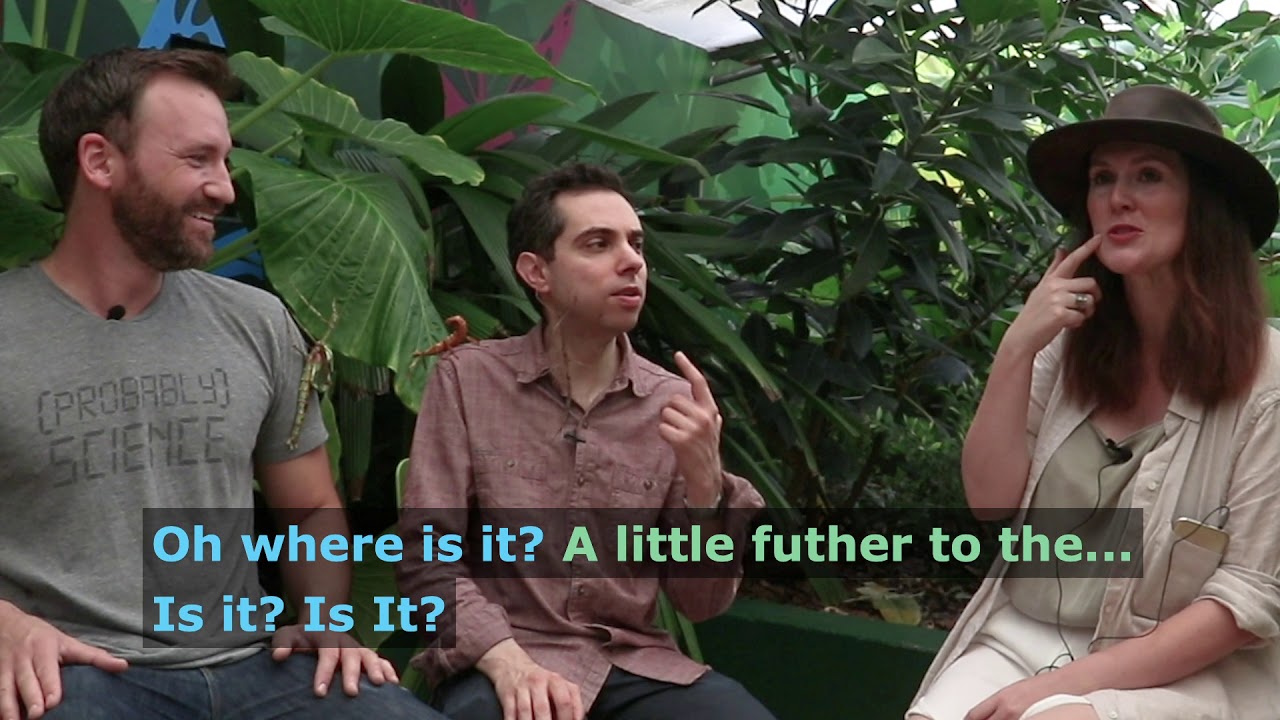 Celebrities Patting Animal. Season 1. Episode 2 - Probably Science