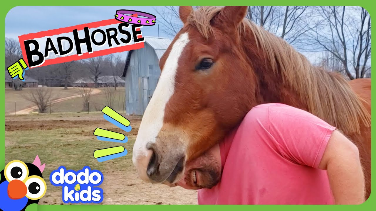 Is This The Baddest Horse Who Ever Lived? | Dodo Kids | Bad Boys And Girls