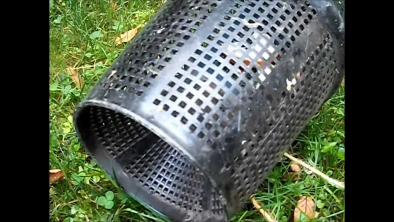 Cone Fish Trap