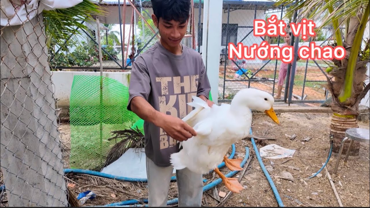 Một Ngày ở Nhà Trồng Rau / Bắt Vịt Nướng Chao ăn Cùng Mấy Đứa 