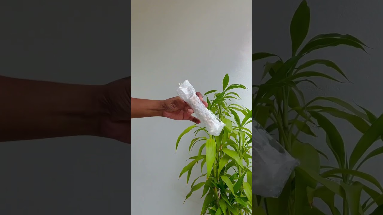 #unboxing