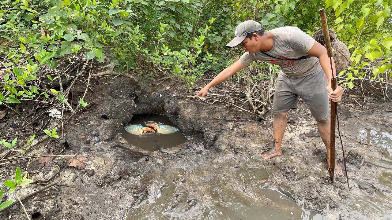 Fishing Adventure - I Found Huge Mud Crabs In Holes near The Sea