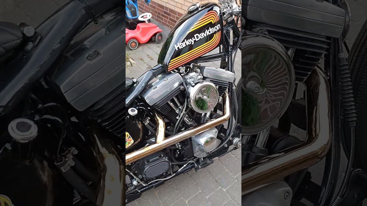 Harley Evo Softail 1984 2in1 Fishtail