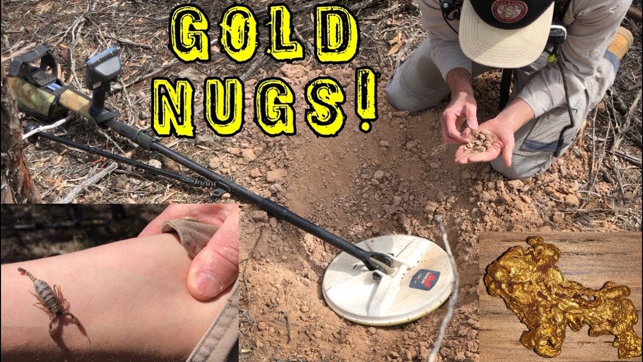 GOLD NUGGET Hunting - Australia -  METAL DETECTING GPZ 7000 Minelab