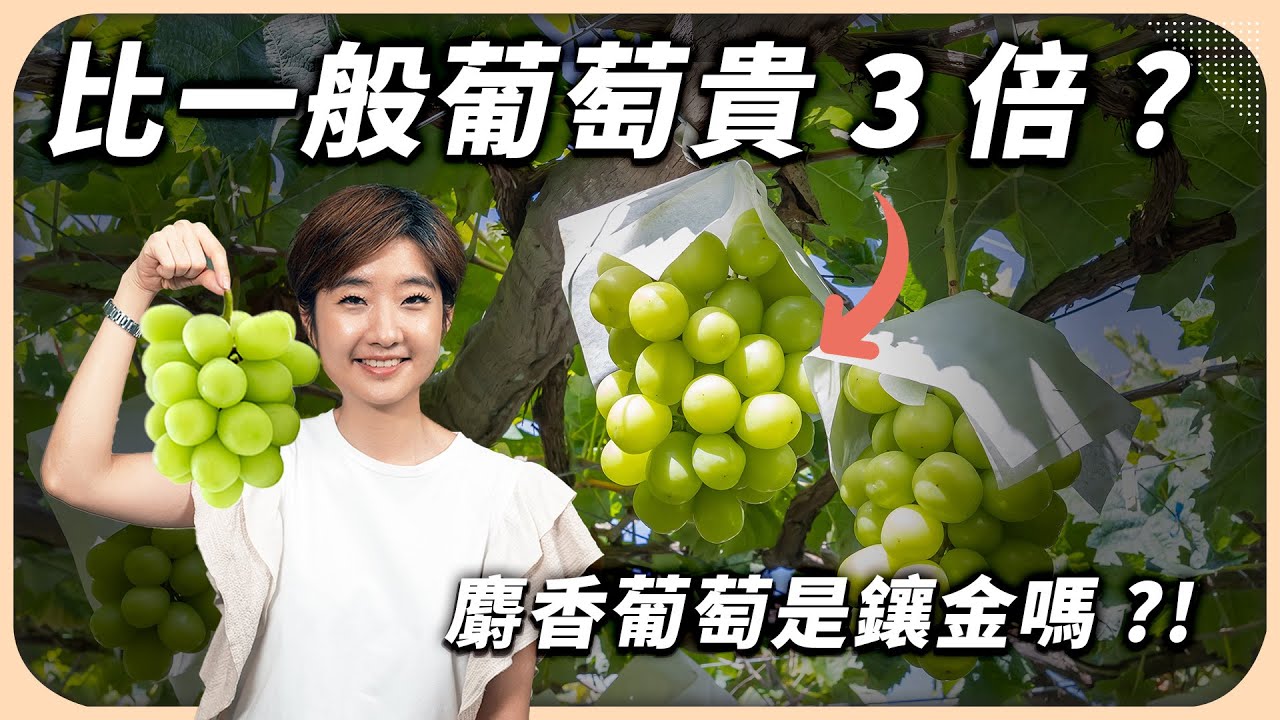 你吃過葡萄界的 LV 嗎？一串要價破千元，麝香葡萄到底是在貴什麼的？【Liz 美食家】