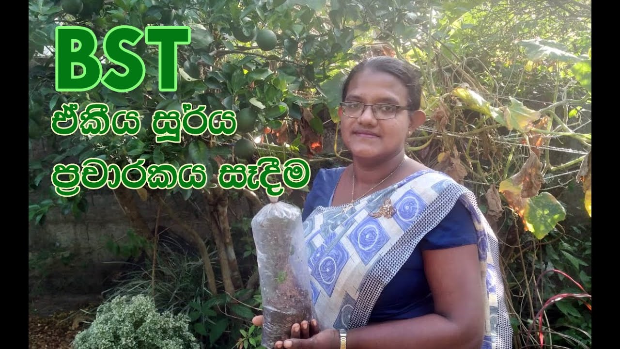 How to make a Single Plant Propagator | BST | Biosystems Technology