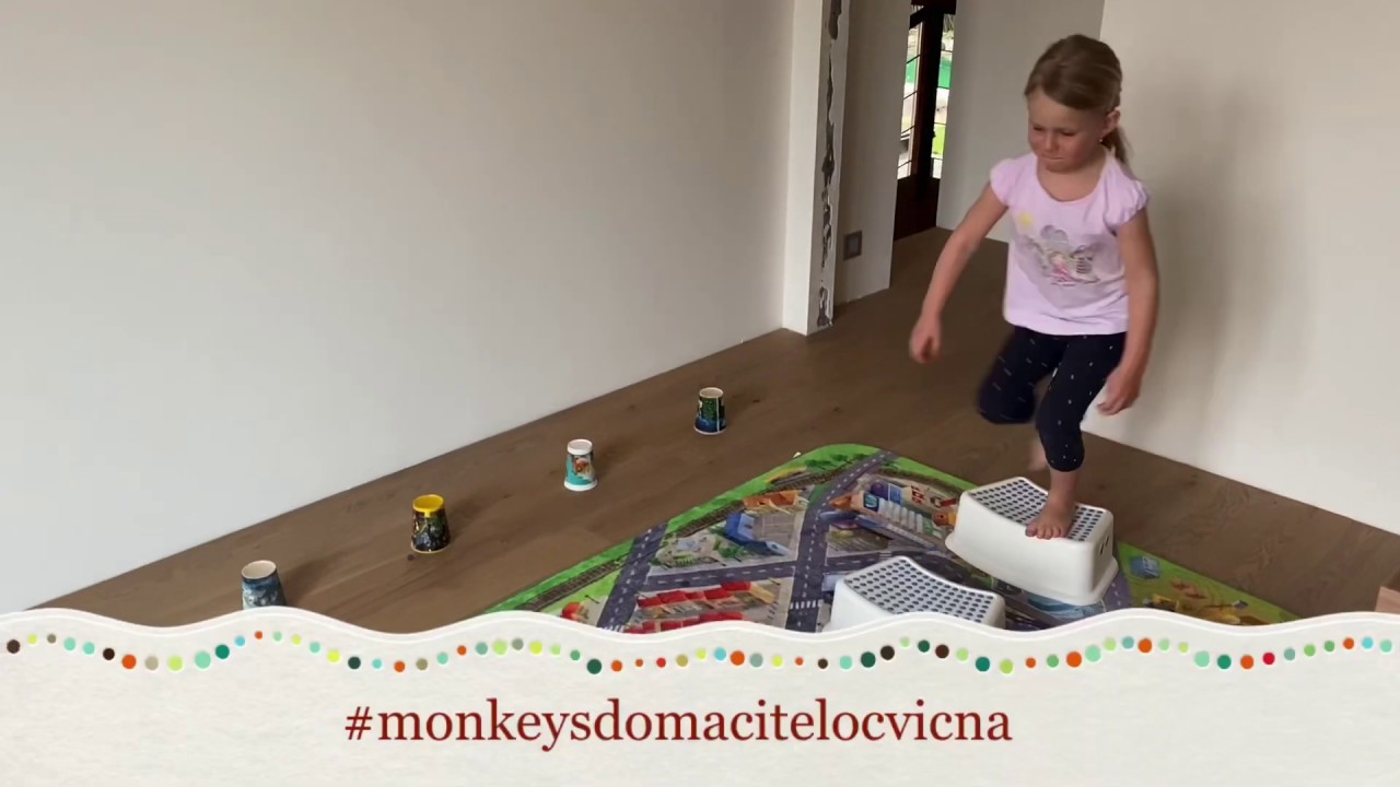 Domácí opičí dráha