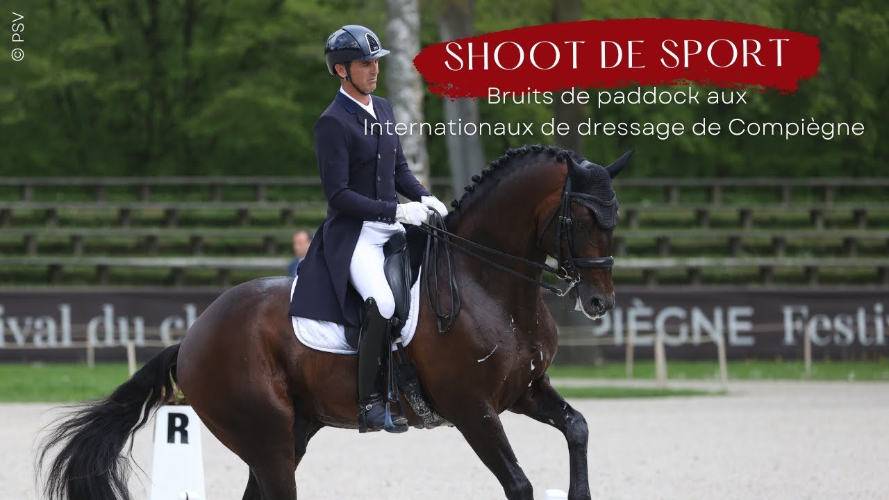 [SHOOT DE SPORT] Bruits de paddock aux Internationaux de dressage de Compiègne