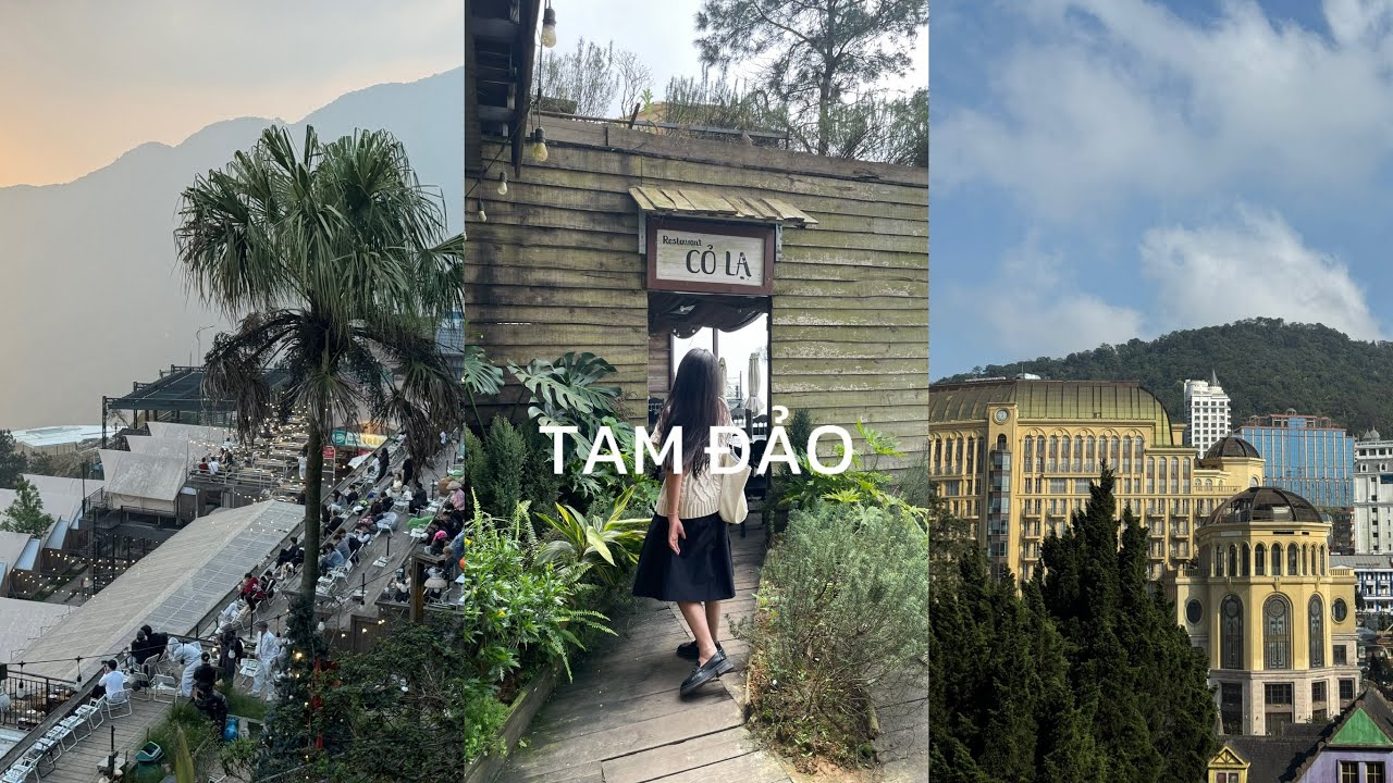 Vlog 3| Một ngày ở Tam Đảo