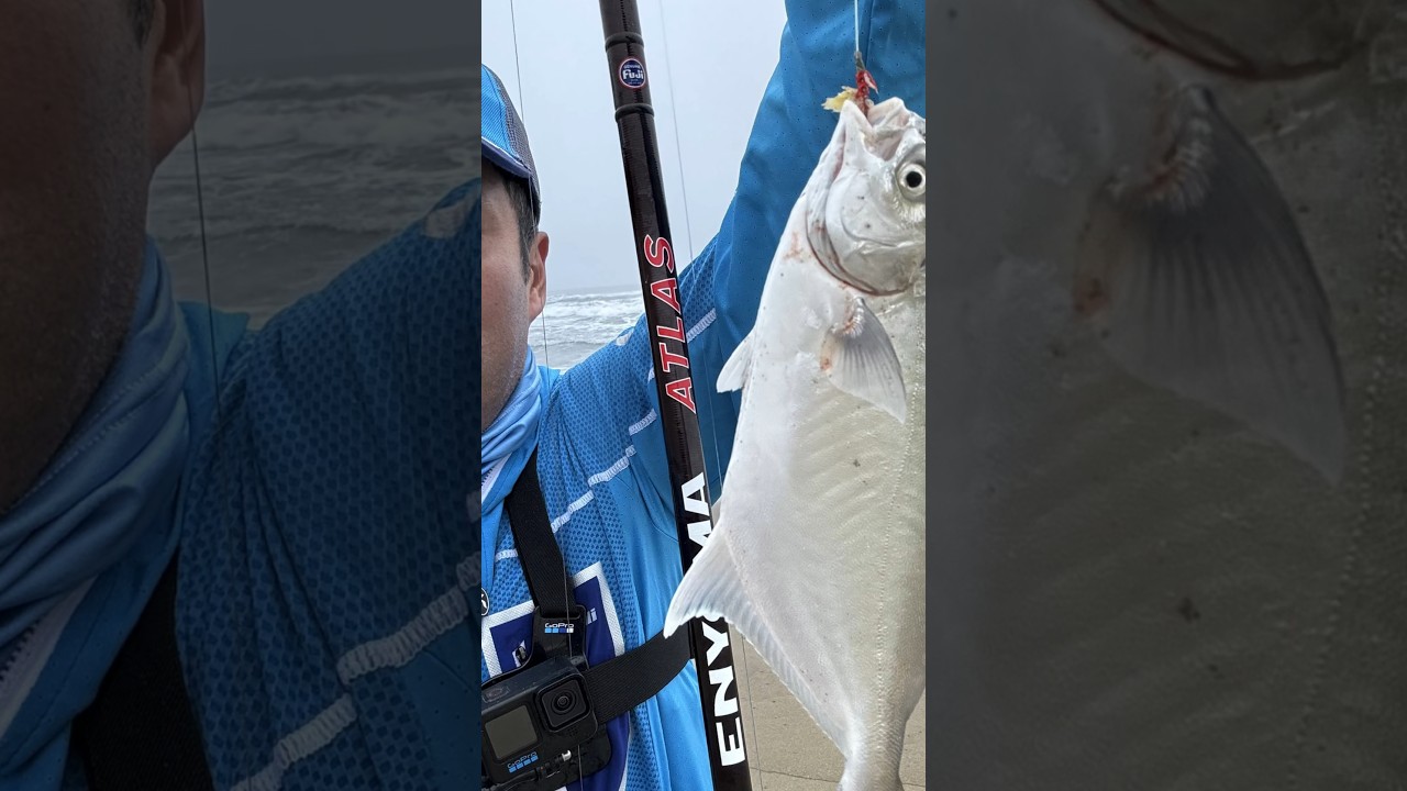 Ca&ntilde;a de SurfCasting Vercelli Enygma Atlas #fishing #vercelli #enygma #atlas