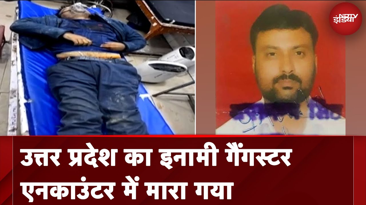 UP Encounter News: Sultanpur में STF को मिली बड़ी सफलता, मारा गया विनोद उपाध्याय