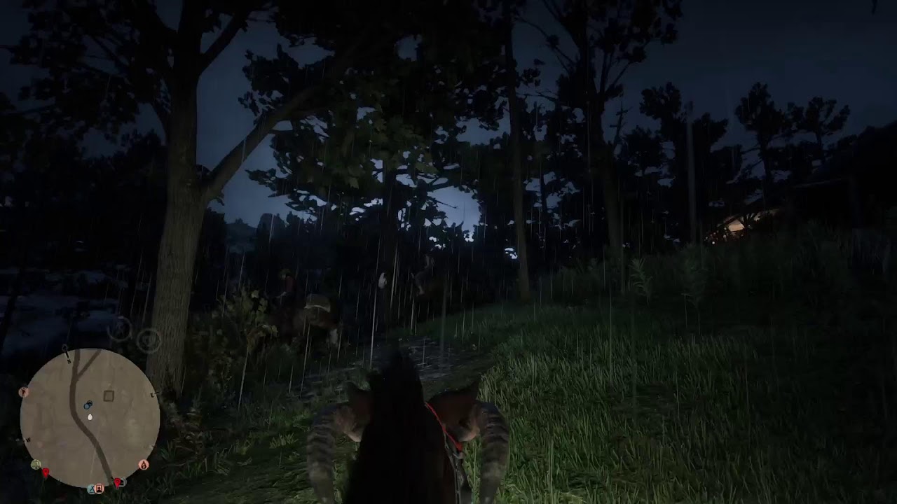 RDR2 PS5 gameplay