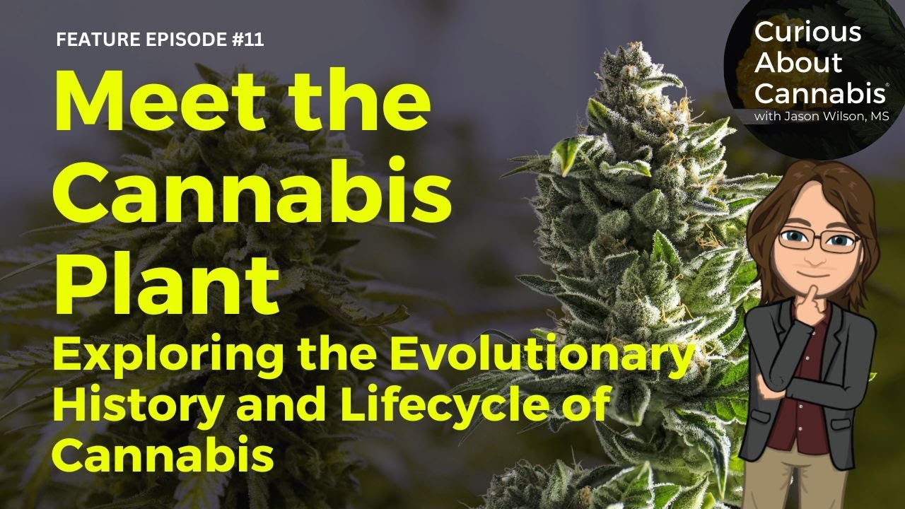 Meet the Cannabis Plant: Exploring the Evolutionary History and Lifecycle of Marijuana | Feature #11
