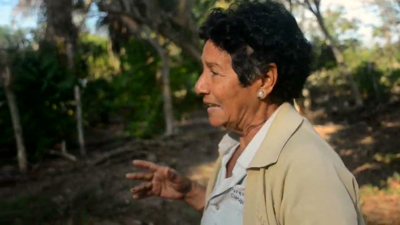 Herbario