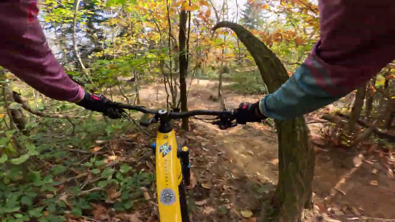 Freeride Loiano - 8 novembre 2025