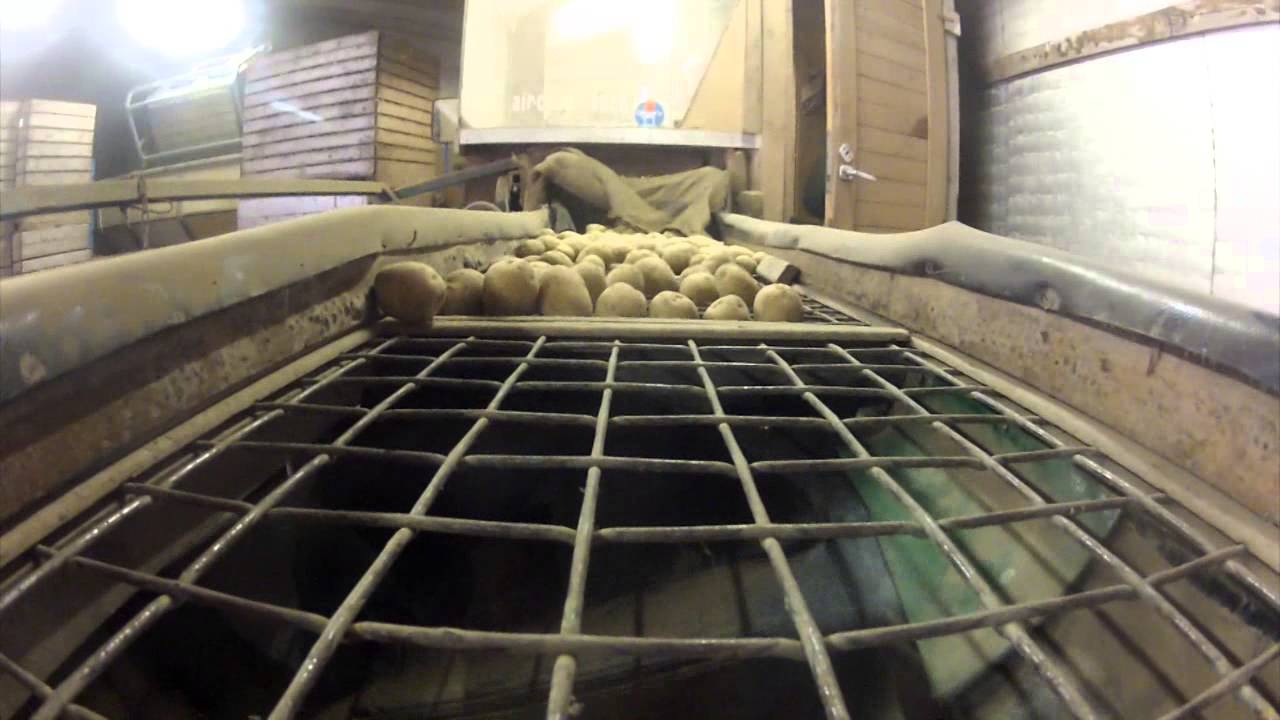 Aardappel Sorteren.wmv