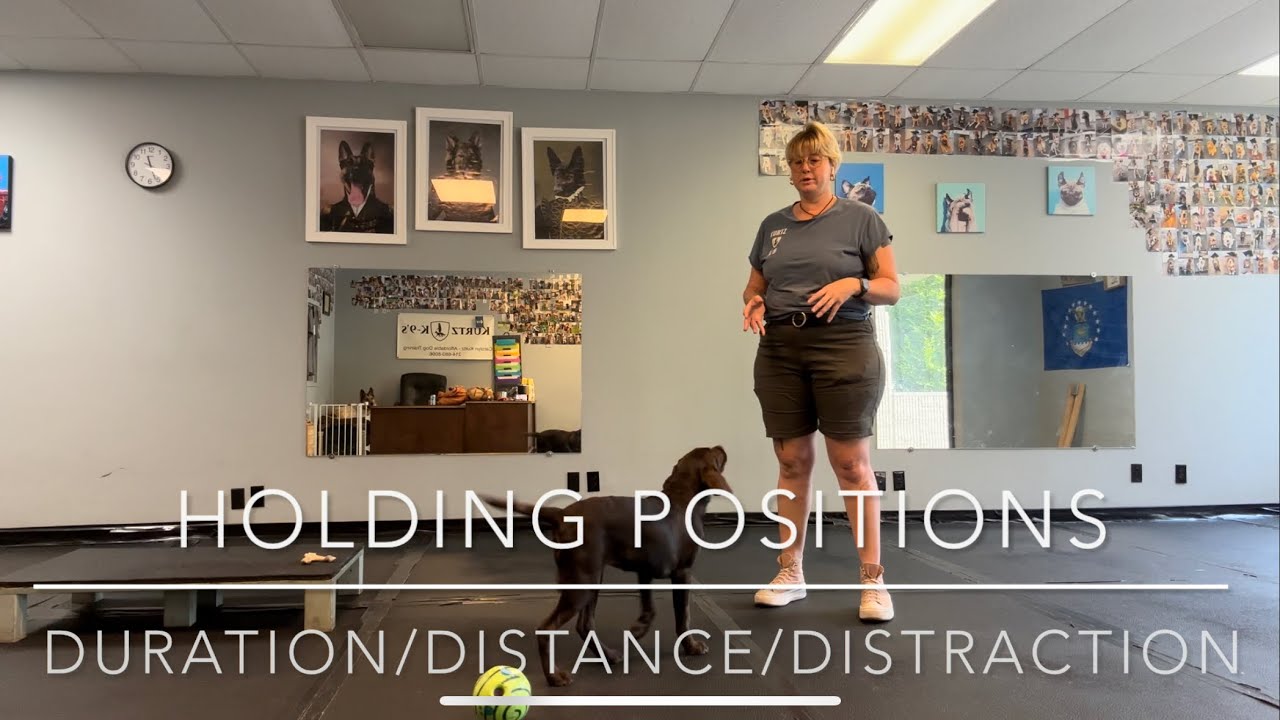 Holding Positions Sit, Down and Place