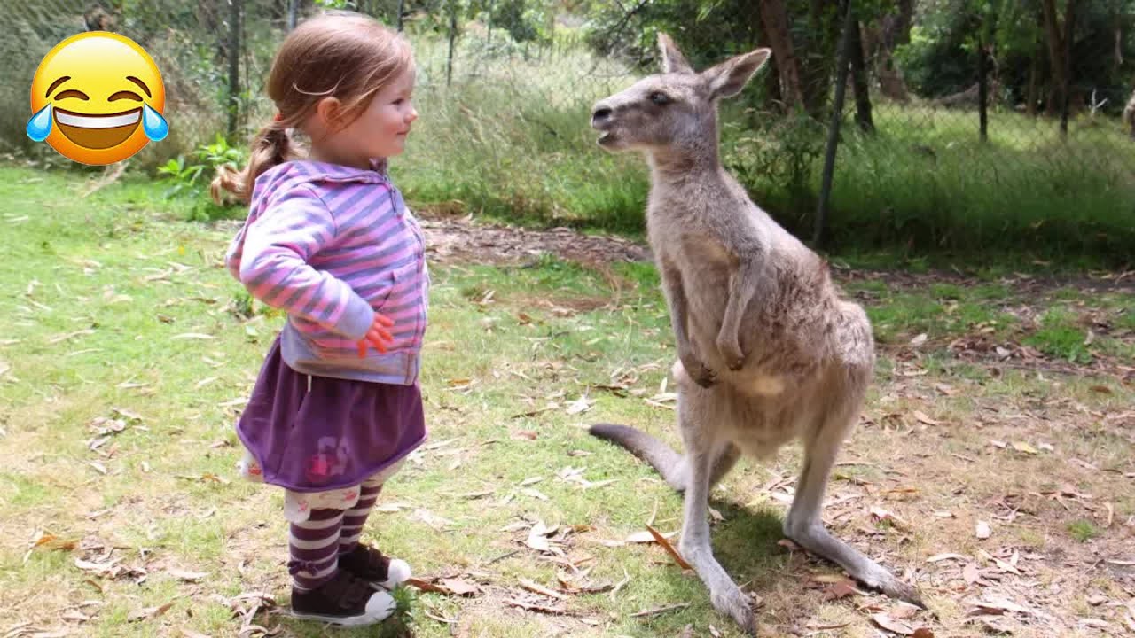 A dog's love for a baby - Heartwarming moments! 😝 #funny_animals #funny_videos #animals