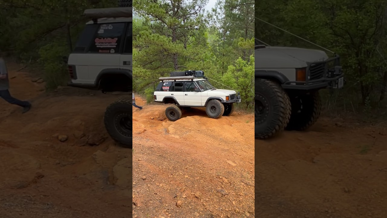 Flexing out a Range Rover Classic #landrover #rangerover #offroad #shorts