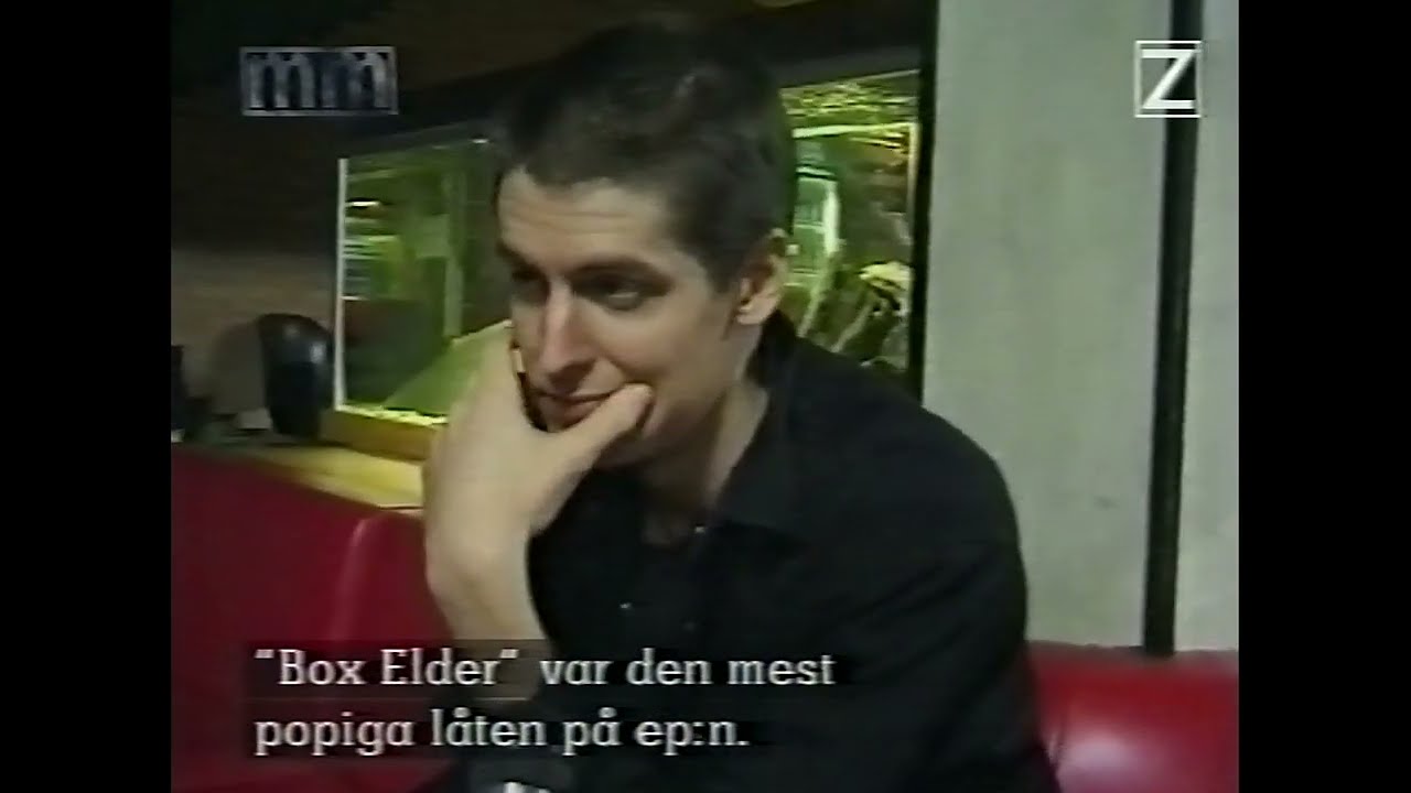 PAVEMENT - interview on swedish TV show 