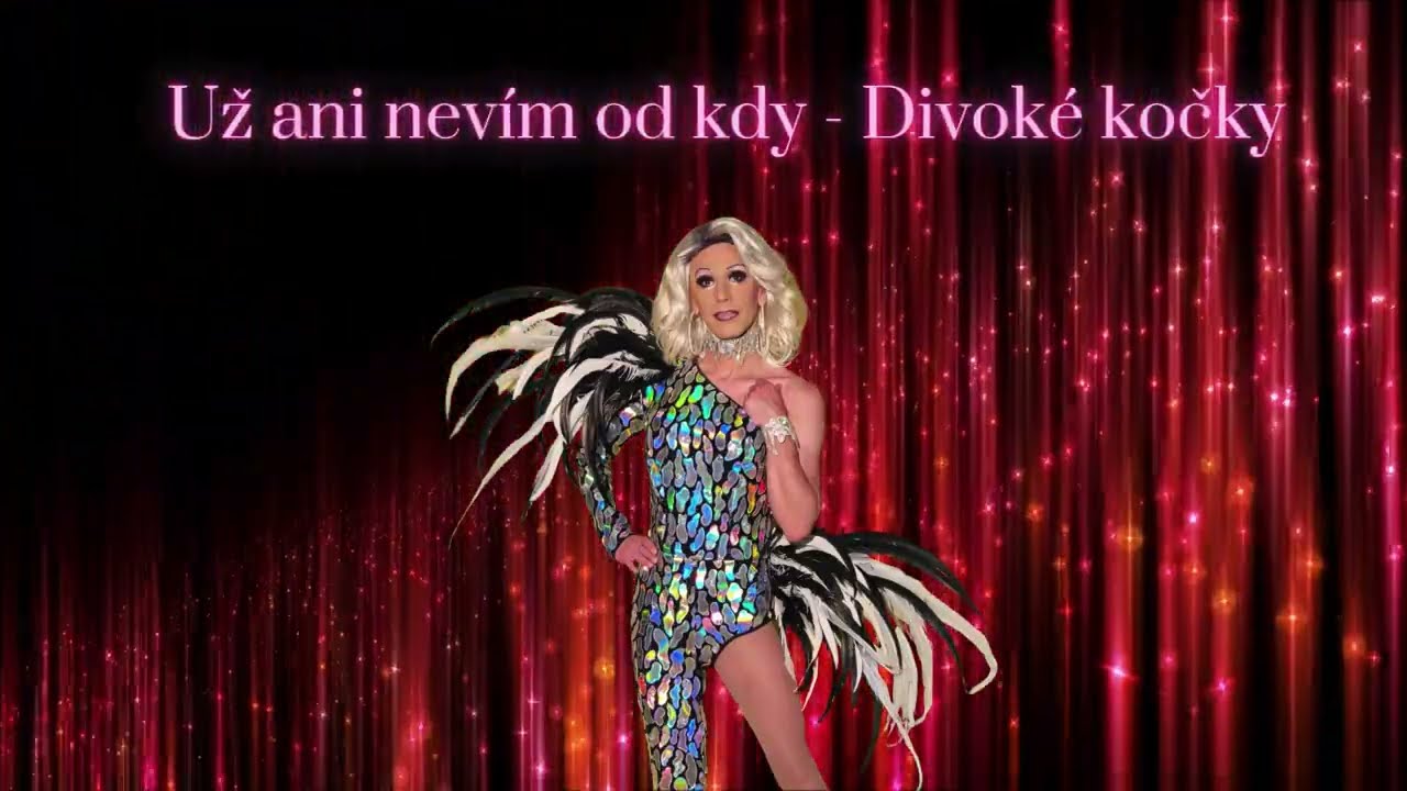 Už ani nevím od kdy - Divoké kočky