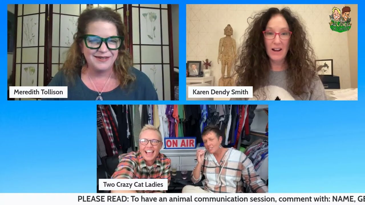 Free Animal Communication Sessions | Back In The Closet