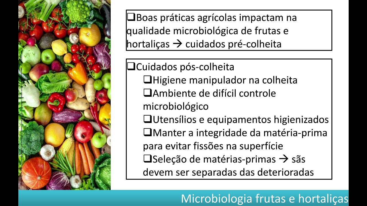 Microbiologia de alimentos - Microbiologia frutas e hortaliças