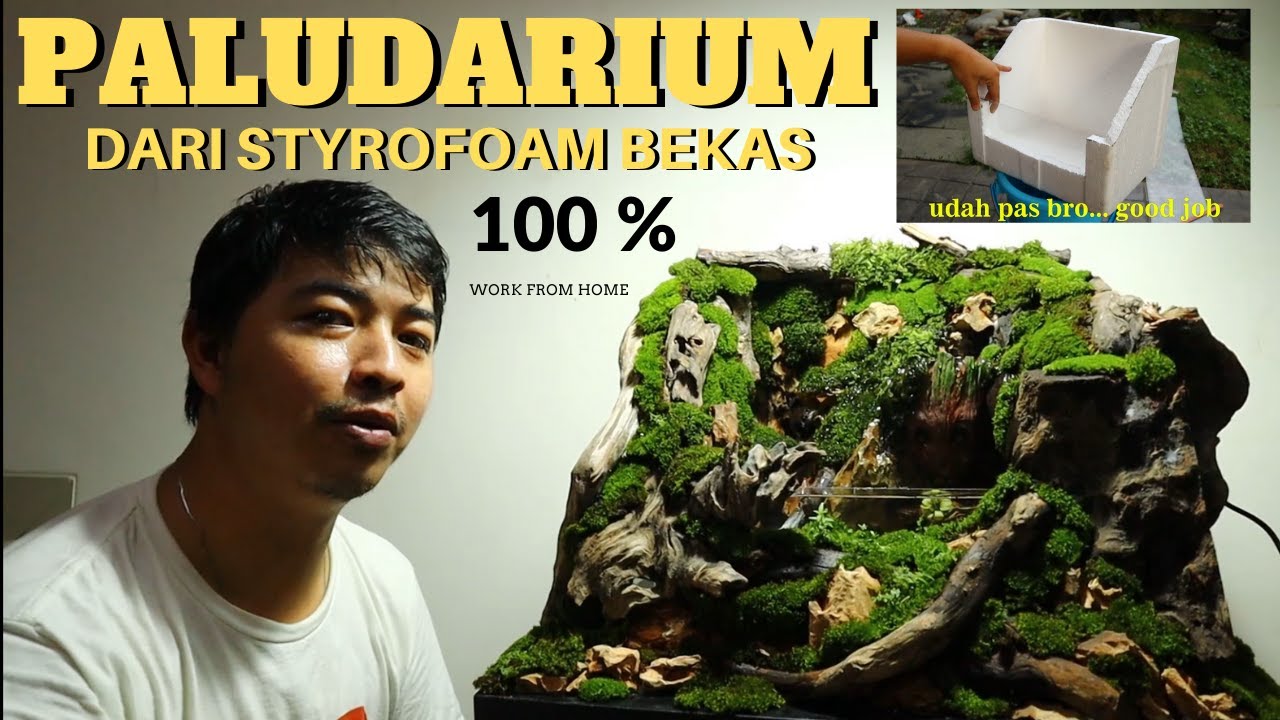 SOCIAL DISTANCING? WORK FROM HOME? MARI KREATIF BIKIN PALUDARIUM DARI STYROFOAM BEKAS !!!