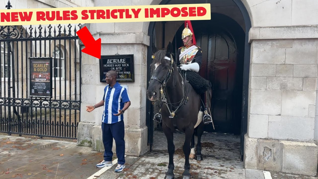 You Won't Believe What Happens When Tourists Get Close to the Royal Horse!