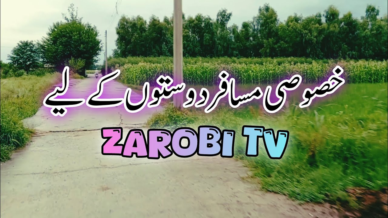 Zarobi Village Uncovered: Scenic Beauty of Swabi District | Zarobi TV #zarobi