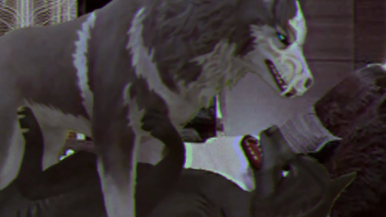 WCMV: love kills
