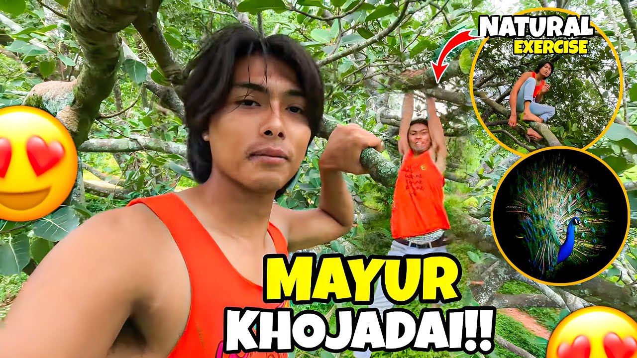 Jungle Ma Mayur Khojadai🧐