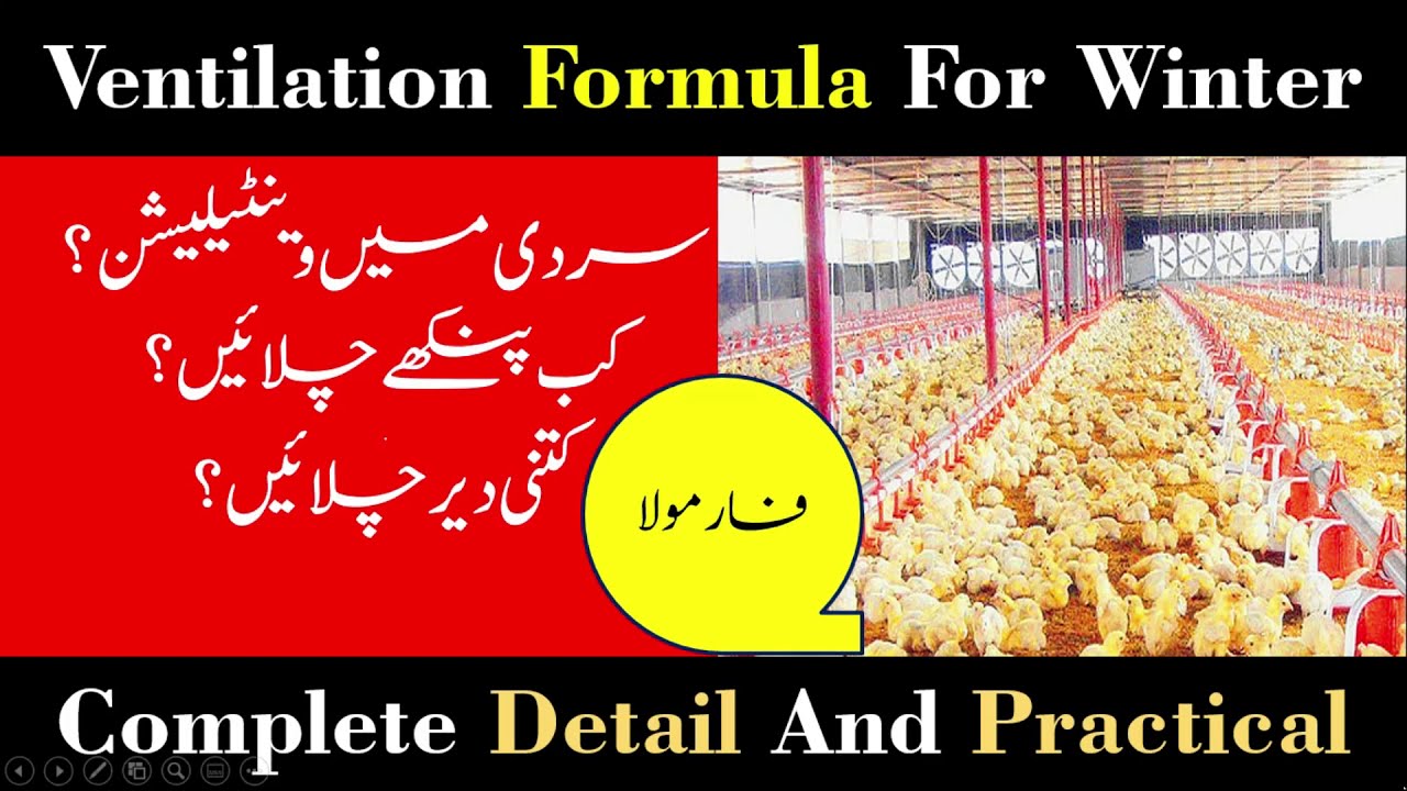 Ventilation Formula for Winter | Ventilation in Poultry