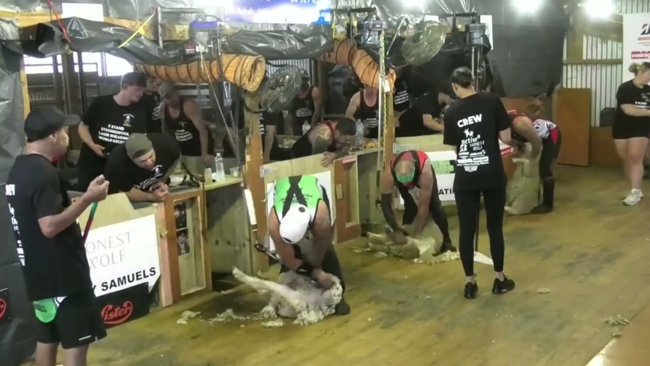 3 Stand Lamb Record Attempt  First Run Jimmy Samuels   Aku Waihape   Shane Ratima