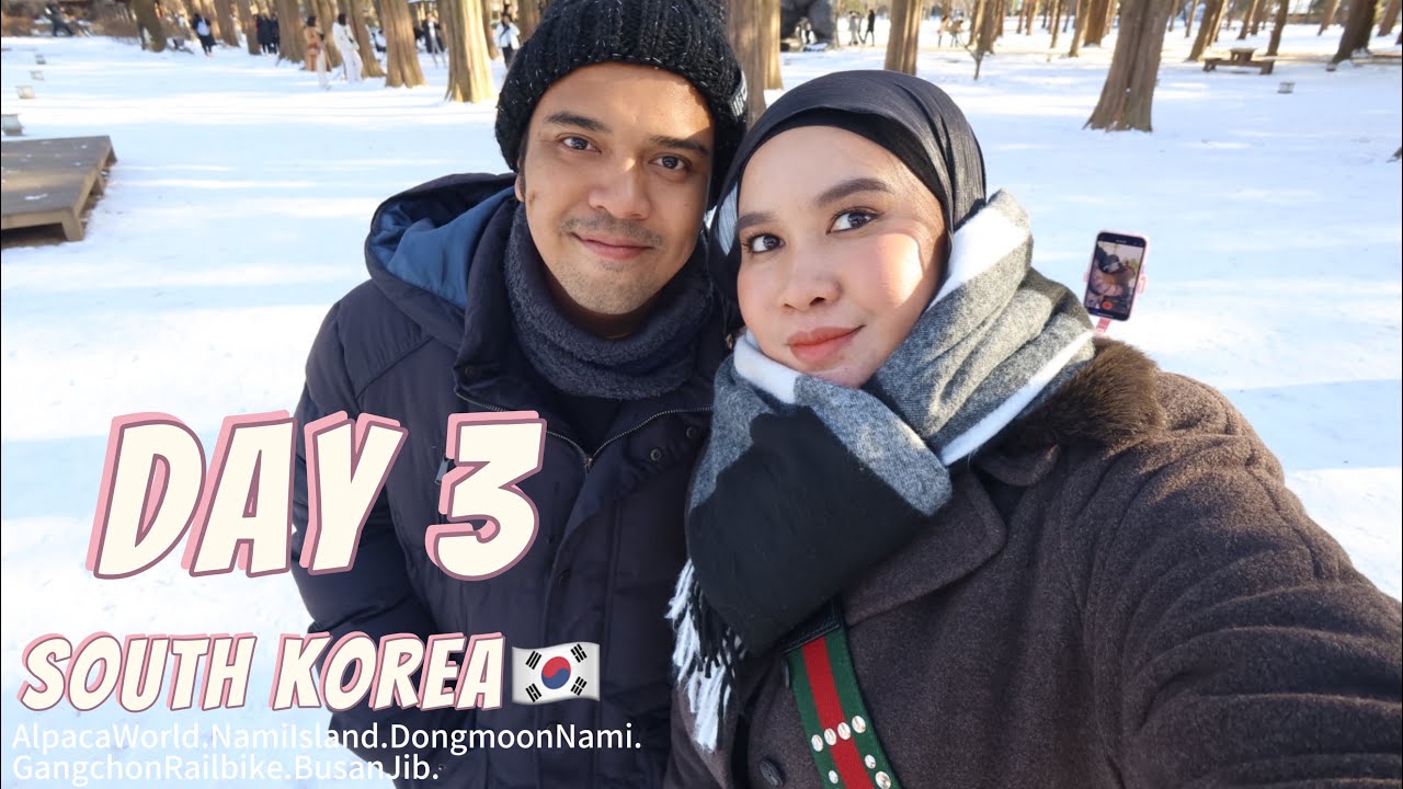 DAY 3 : SOUTH KOREA - WINTER 2024 (Alpaca World + Nami Island + Gangchon Railbike)