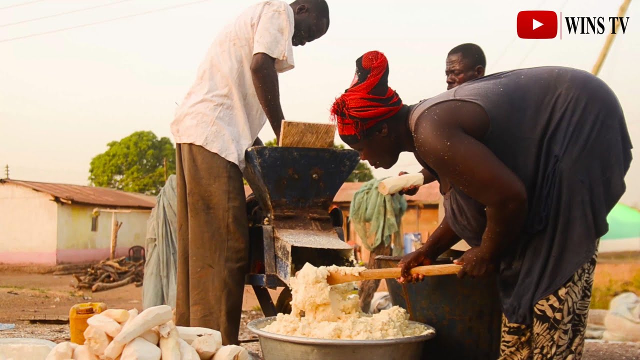 How Gari (Cassava Flakes) Is Produced In Northern Ghana | Step By Step Process | Documentary.