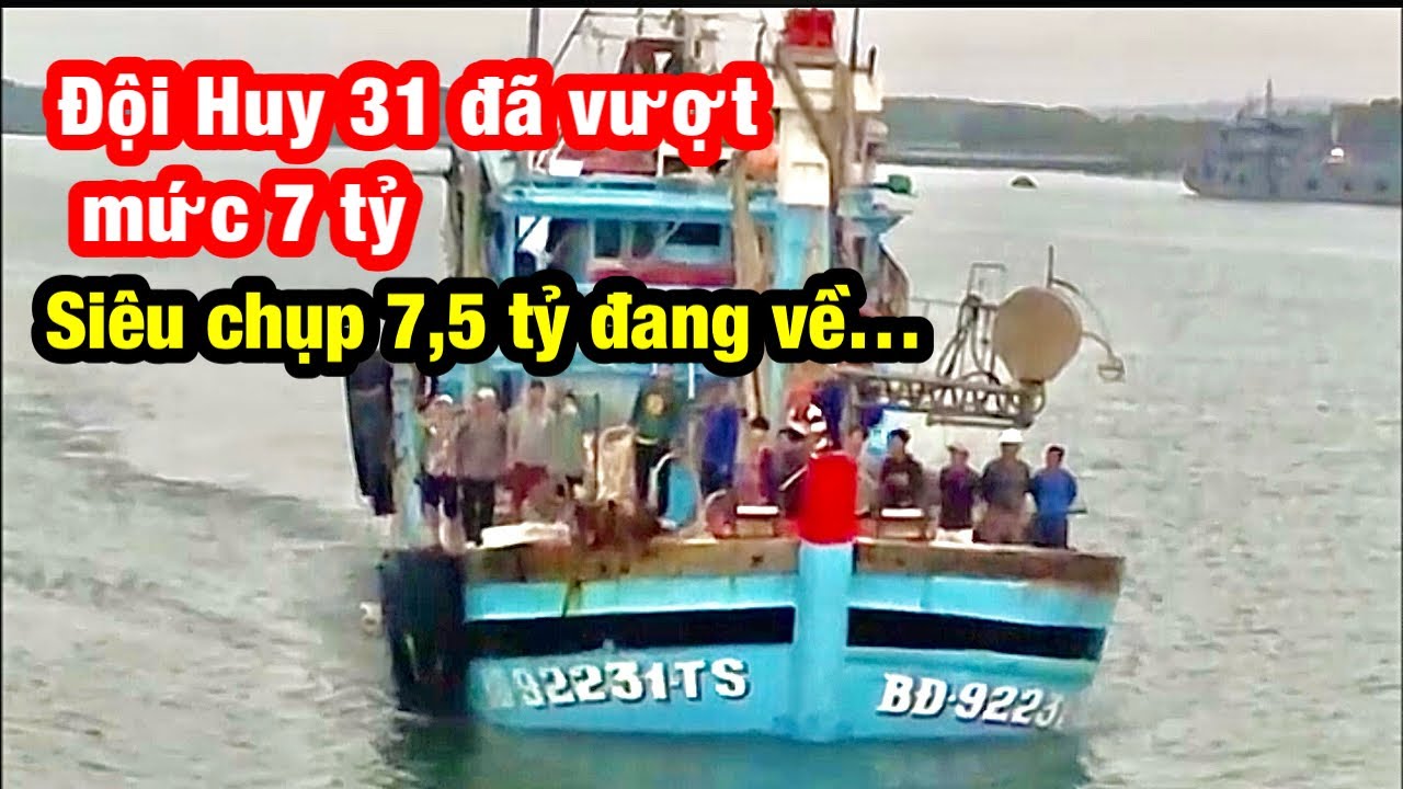 Những Ông Trùm Vĩnh Lợi Bình Định/Đường đua cá Chỉ Vàng @bogiadibien 