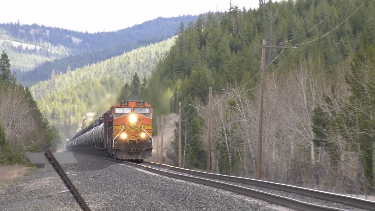 Two Oil Trains, a Manifest, CN,  a Q Train and a Meet
