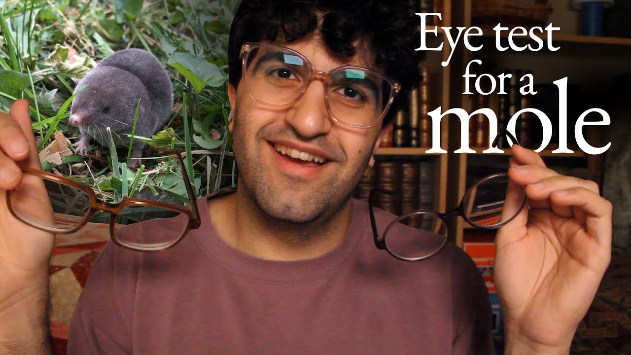 [ASMR] Eye Test and Glasses Trial (You're a Mole)