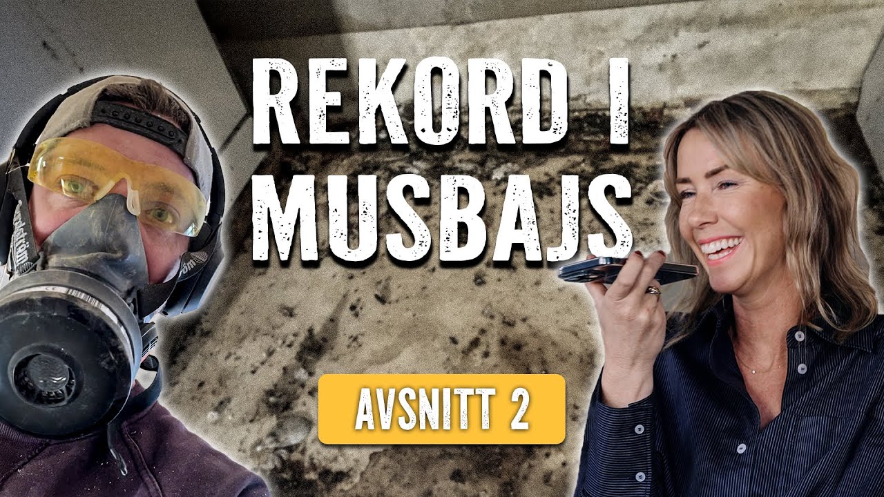 Radhuset Avsnitt 2 - Rekord i Musbajs