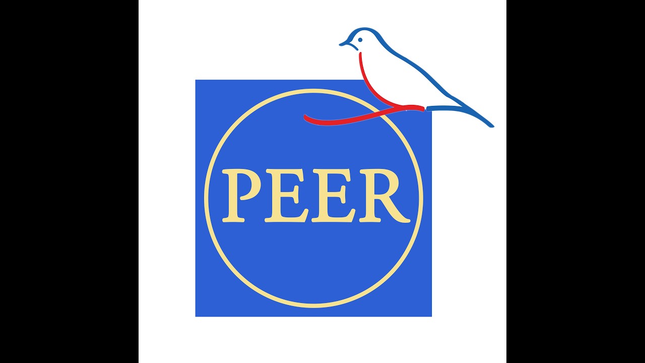 PEER Meeting:  Albany Update & Suffolk Wake UP
