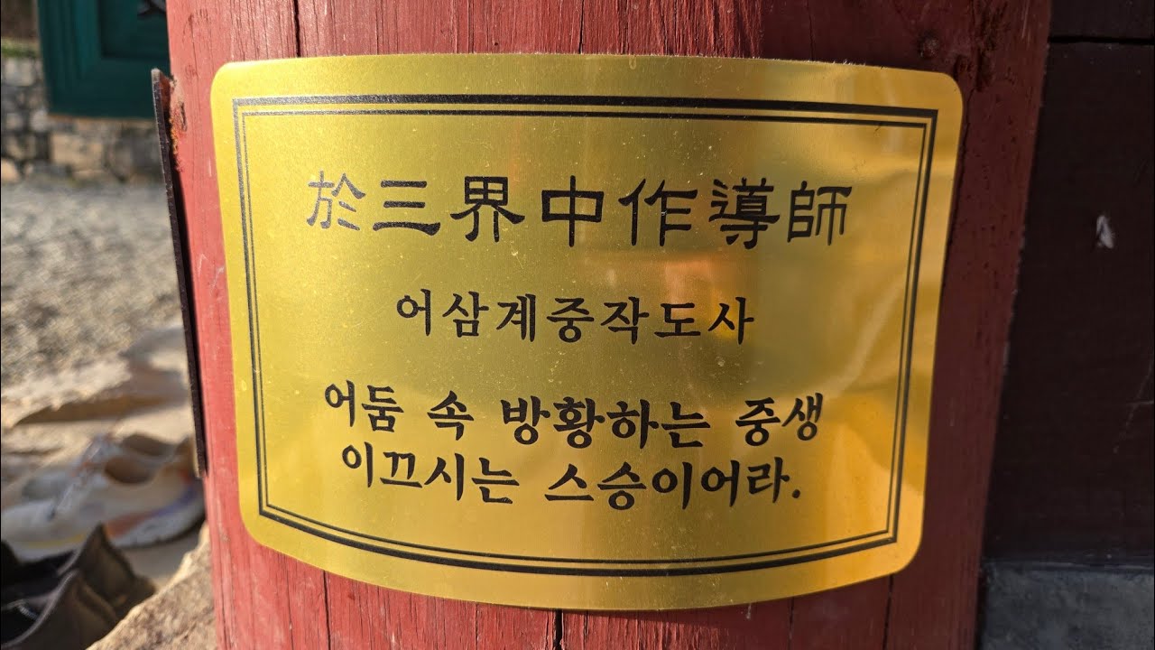 고독한 타로샵 라이브 방송