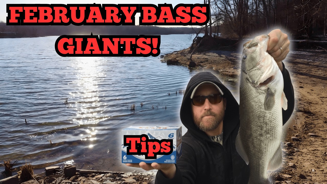 February Bass Hacks: Unlock Secrets for Giant Limits (Bank Anglers Win Big!)