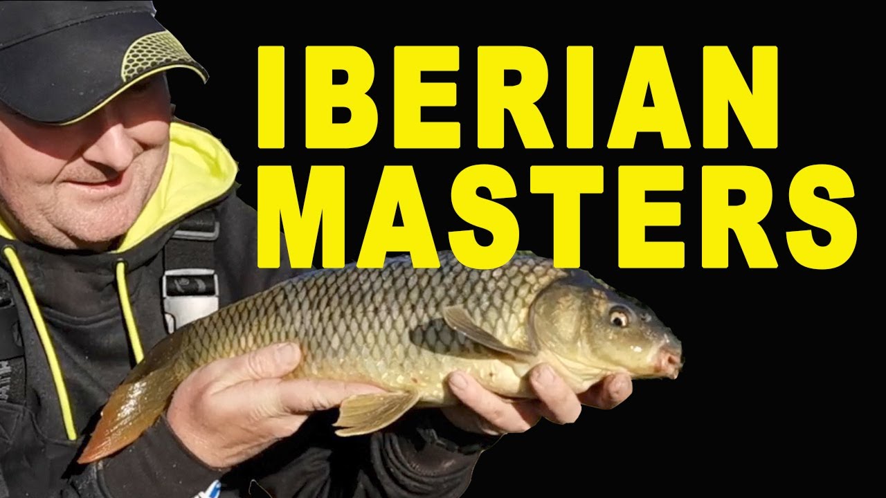 LIVE Match Fishing IBERIAN MASTERS 2020 - Match Fishing Festival Spain
